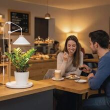 Фитолампа для растений EMOS Z7905 White