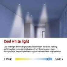 Світильник світлодіодний аварійний EMOS 2Вт (ZN1340)