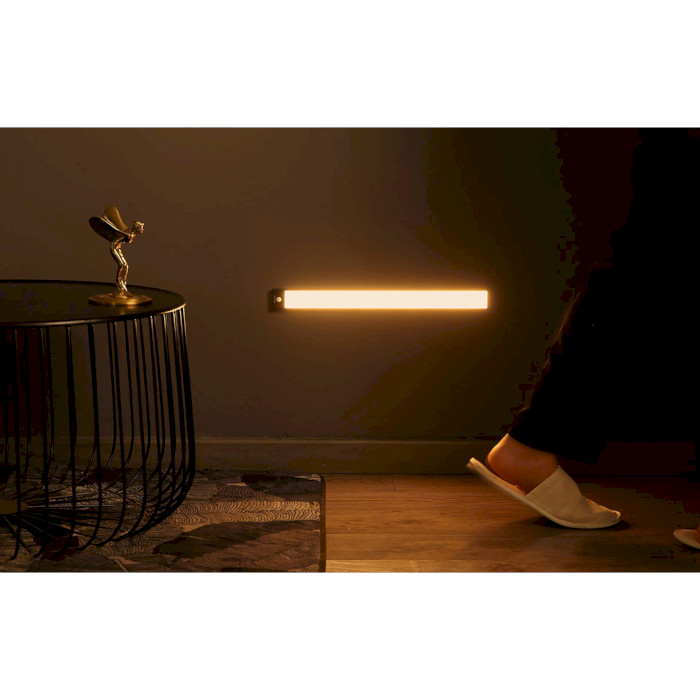 Огляд Світильник YEELIGHT Motion Sensor Closet Light A40 4000K Black (YLBGD-0045)