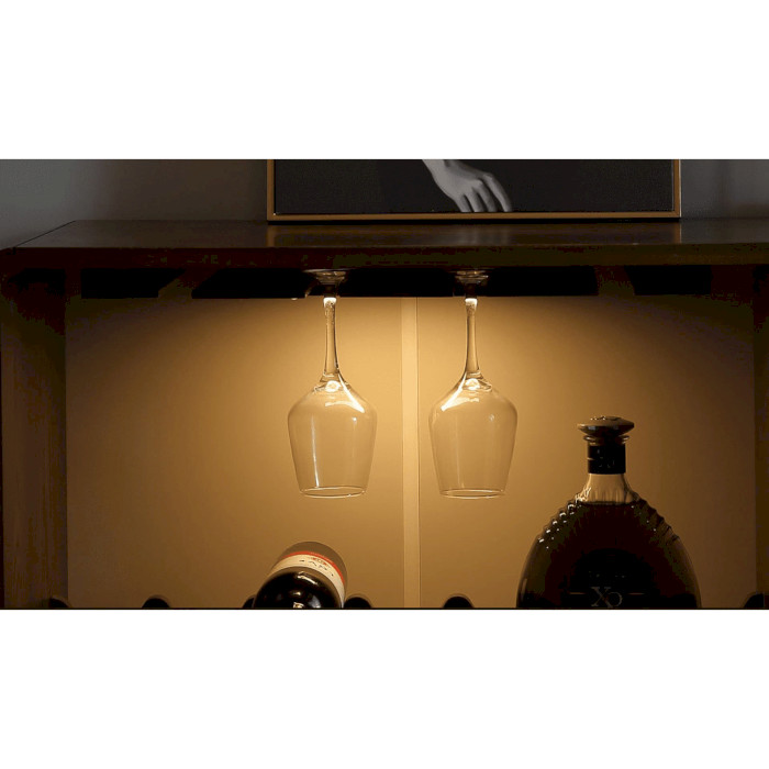 У Фокстрот Світильник YEELIGHT Motion Sensor Closet Light A40 4000K Black (YLBGD-0045)