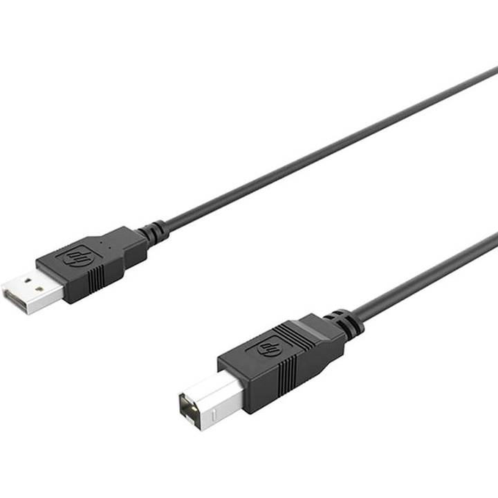 Кабель HP USB AM-BM 1 м (DHC-PT100-1M) Разъем 1 USB тип А (папа)