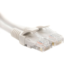 Патч-корд POWERPLANT Cat5E UTP 1 м White (CA911554)