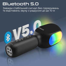 Микрофон PROMATE vocalmic.black