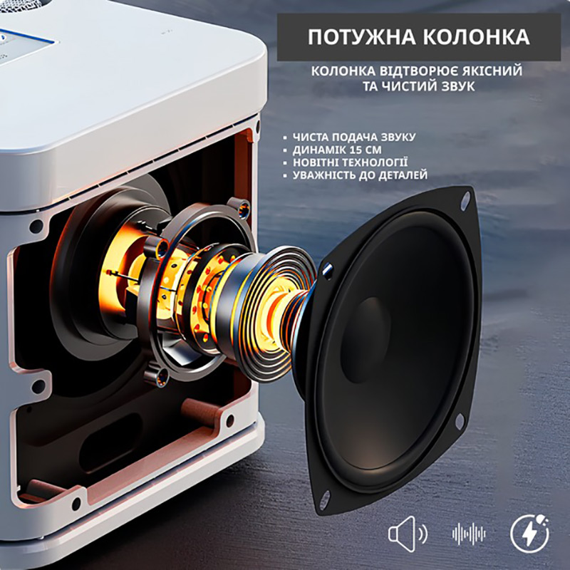 Портативна караоке-система Inspire YS-213 з 2 мікрофонами Black Додатково Інтерфейси: AUX, USB, Кард-рідер; Із вбудованим акумулятором;  Bluetooth;  Підключення мікрофона: Бездротове