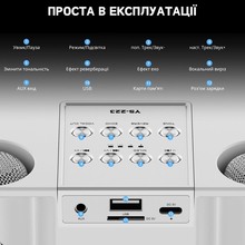 Портативная караоке-система INSPIRE YS-223 с 2 микрофонами White