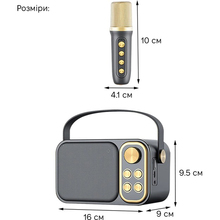 Портативна система караоке INSPIRE (YS-105 Black)