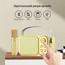 Портативная караоке-система INSPIRE (YS-105 Gold)