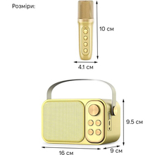 Портативная караоке-система INSPIRE (YS-105 Gold)