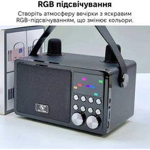 Портативная караоке-система INSPIRE (YS-311-black)