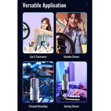 Микрофон TAKSTAR PC-K200 Gray (90403673) Микрофон TAKSTAR PC-K200 Gray (90403673)