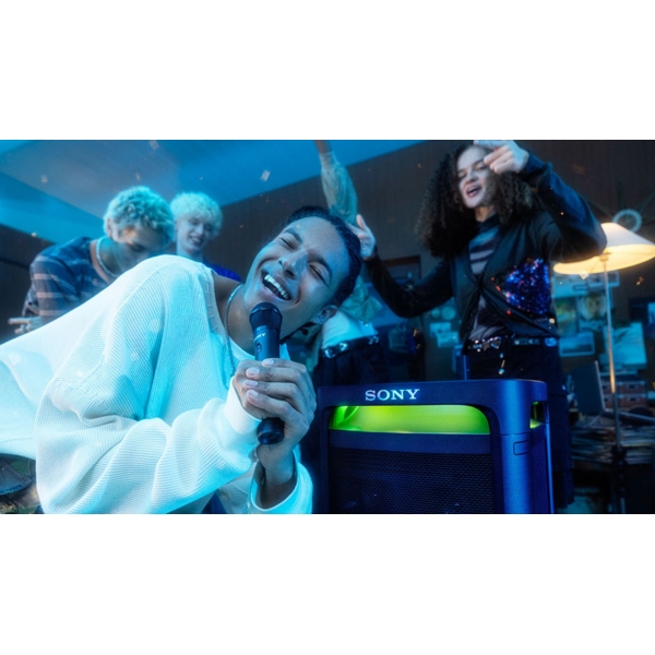 Внешний вид Микрофон SONY ULT POWER SOUND MIC1 2 шт (UOULTMIC1.E)