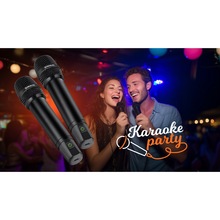 Набор микрофонов REAL EL KM-850 2 шт Black (EL121900002)