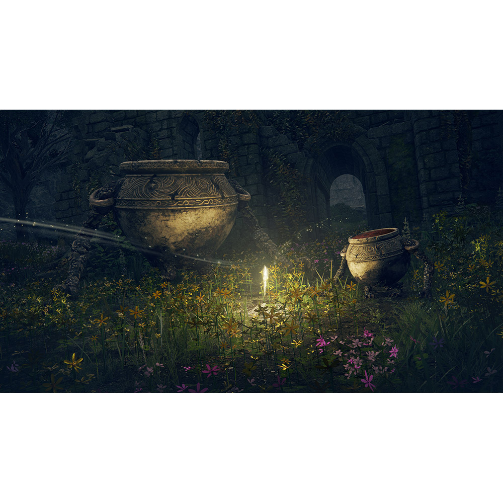 Фото 18 Игра Elden Ring для Sony PLAYSTATION 4 (PS4)