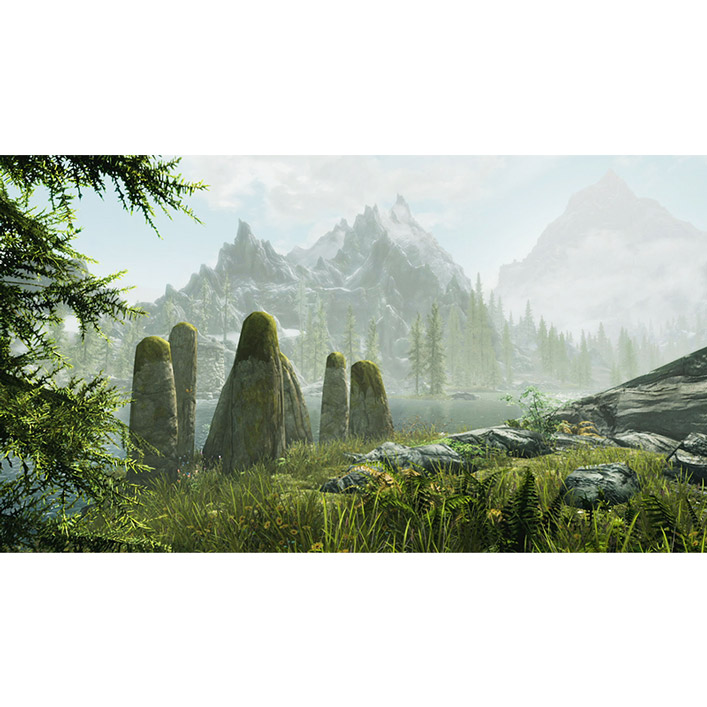 Игра The Elder Scrolls V: Skyrim для NINTENDO Switch (1014264) Локализация английская версия