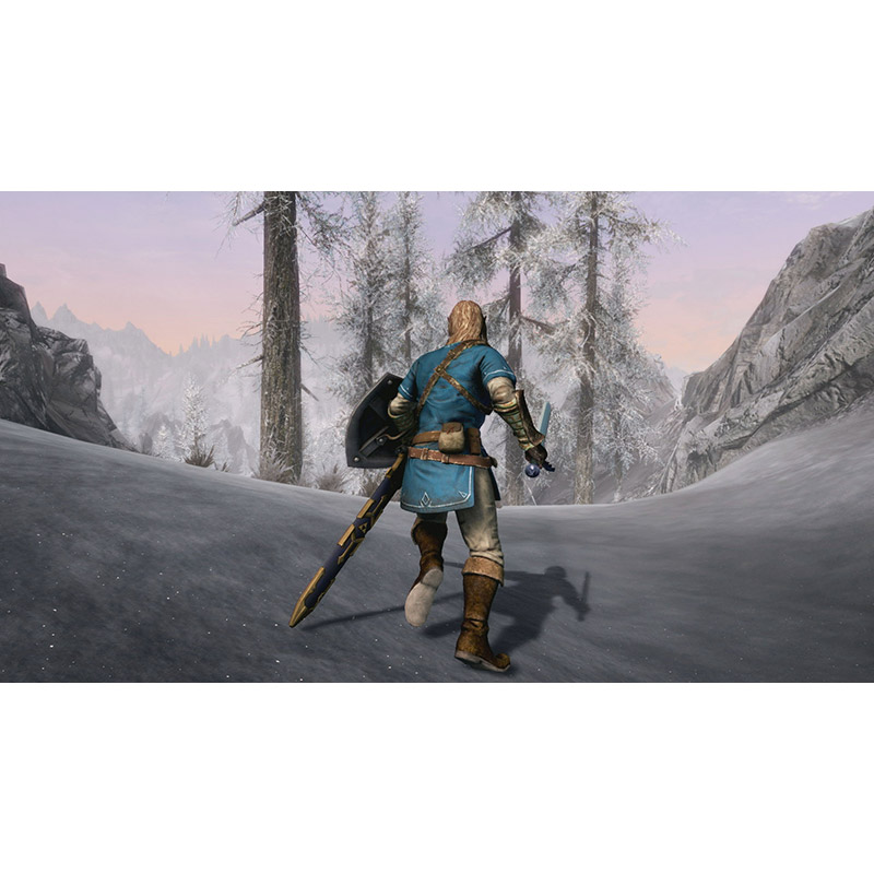 Внешний вид Игра The Elder Scrolls V: Skyrim для NINTENDO Switch (1014264)