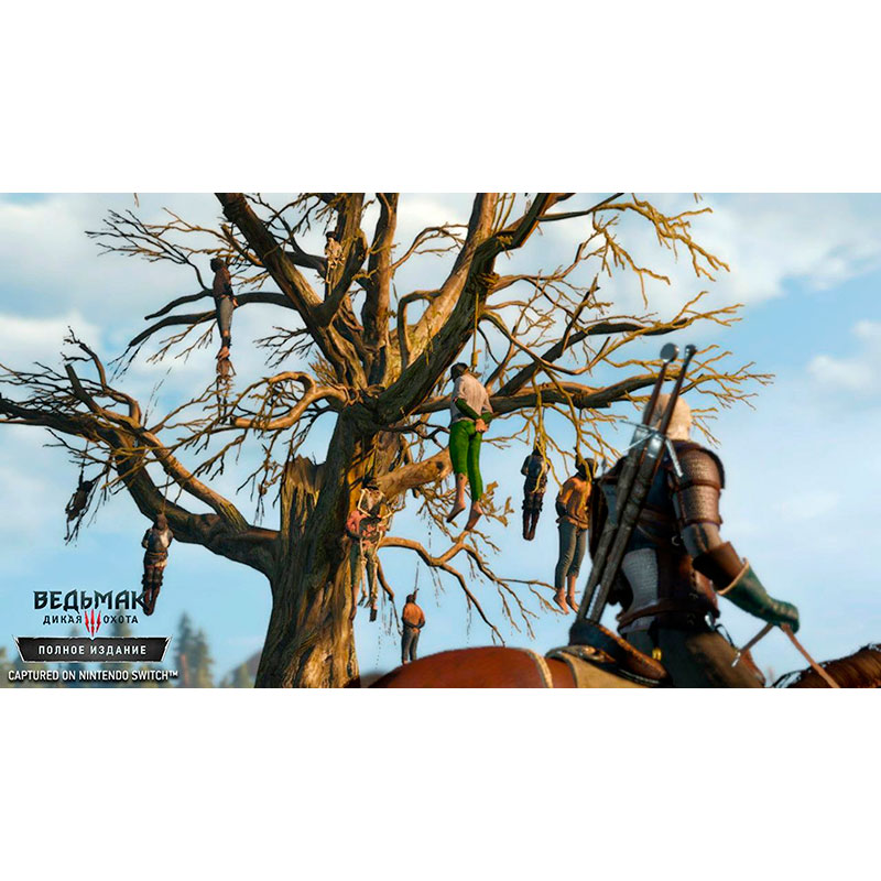 Игра The Witcher 3: Wild Hunt для NINTENDO Switch (1186876) Платформа Nintendo Switch