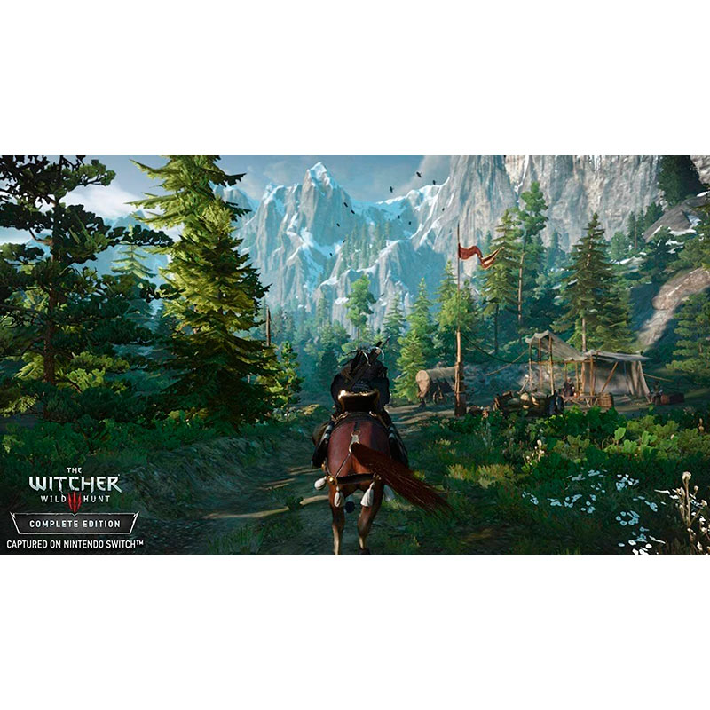 Заказать Игра The Witcher 3: Wild Hunt для NINTENDO Switch (1186876)