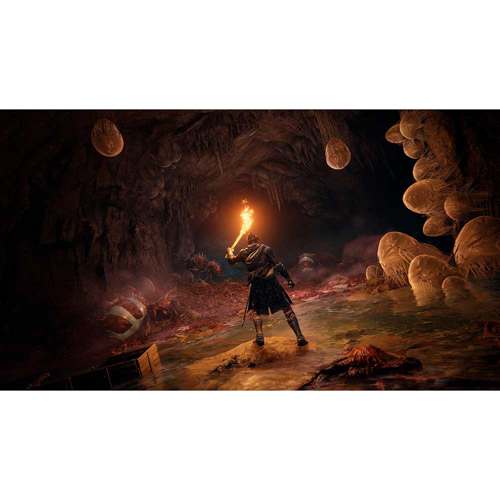 Игра Elden Ring для PS5 Жанр ролевые (RPG)