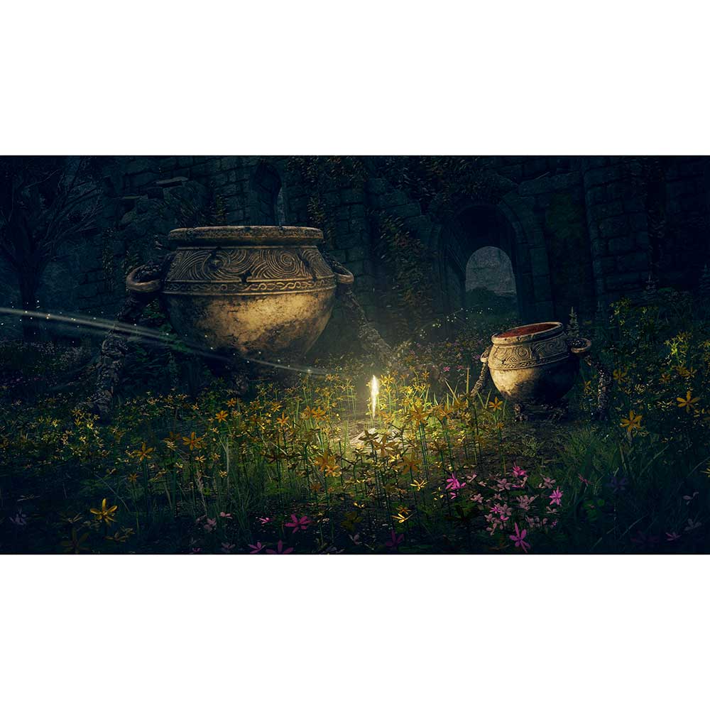 Внешний вид Игра Elden Ring для PS5