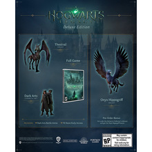 Игра Hogwarts Legacy. Deluxe Edition для XBOX Series X (5051895415603)