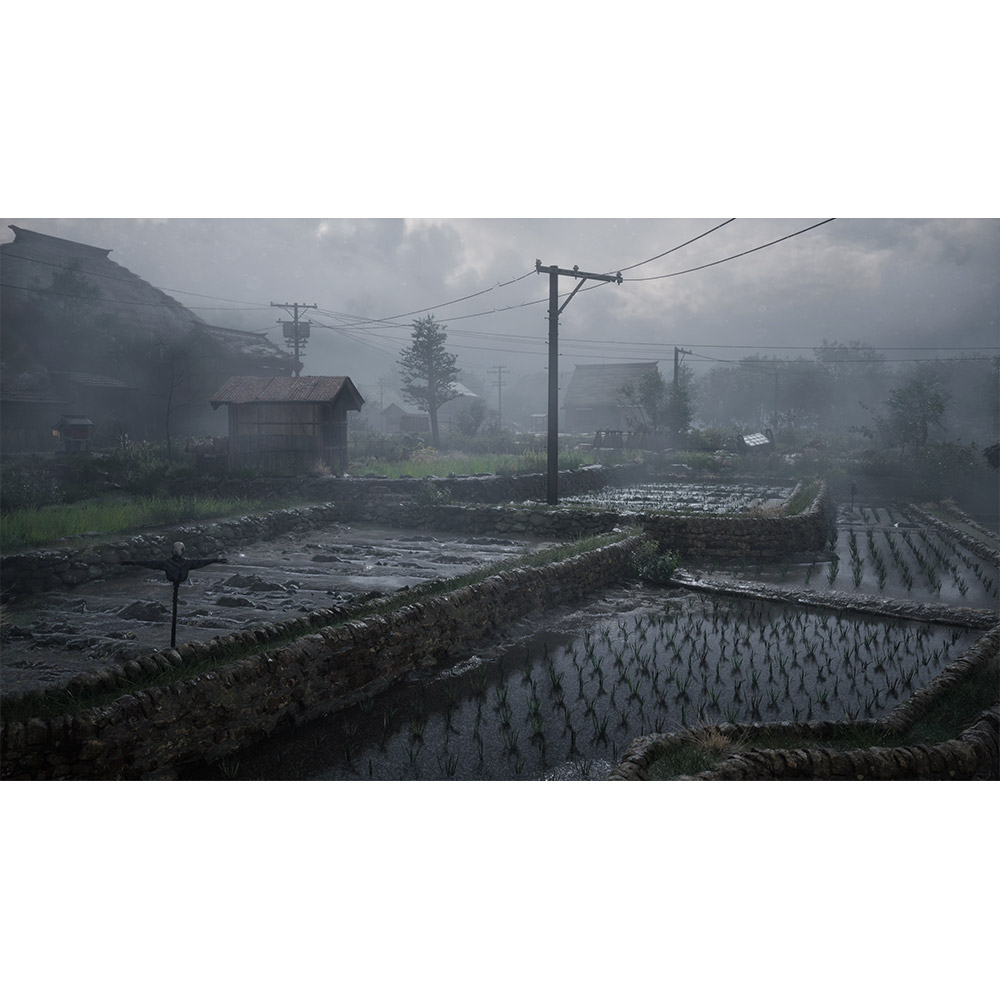Игра Silent Hill f Day One Edition для PlayStation 5 (PS5) (4012927151617) Тип издания стандартное издание