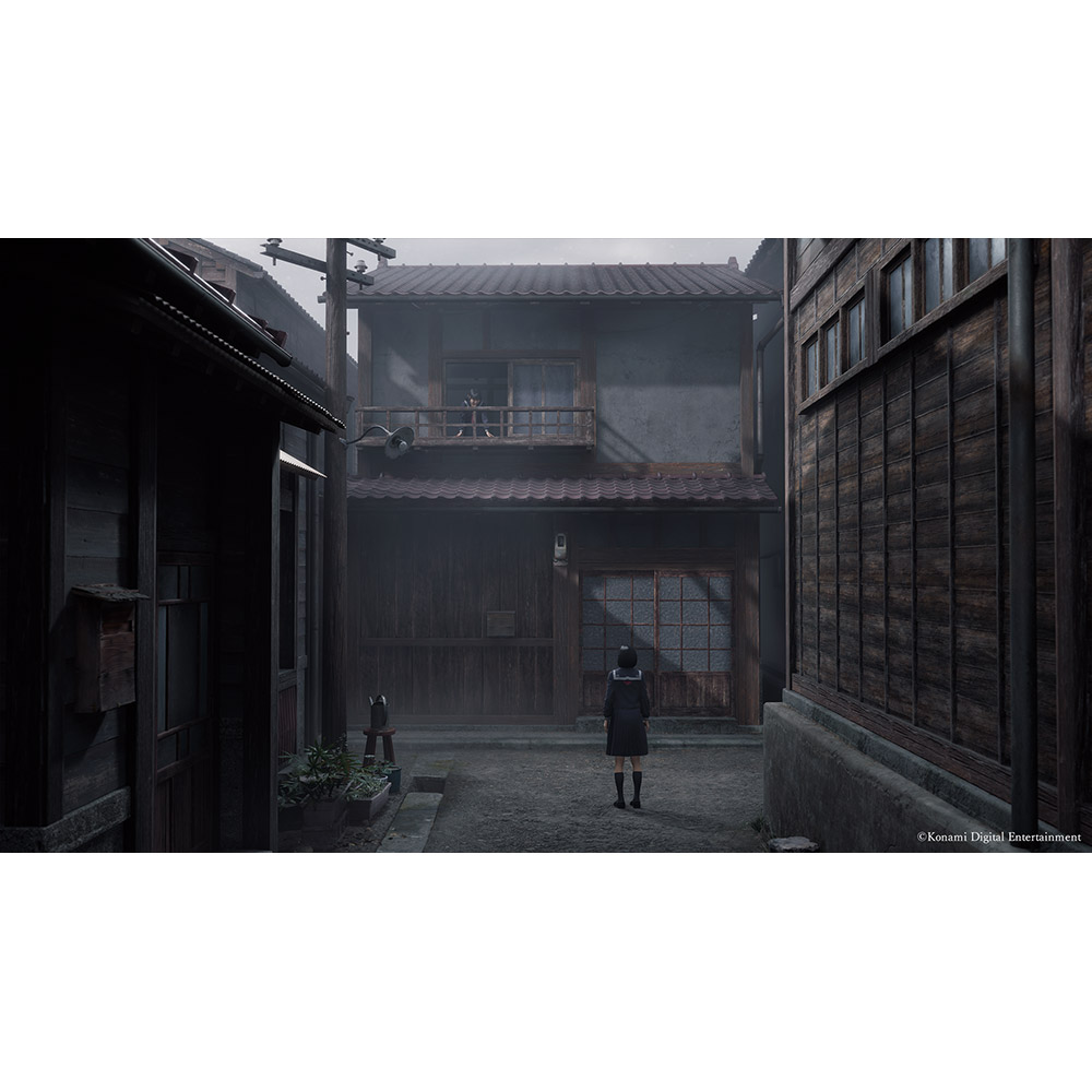 В интернет магазине Игра Silent Hill f Day One Edition для PlayStation 5 (PS5) (4012927151617)