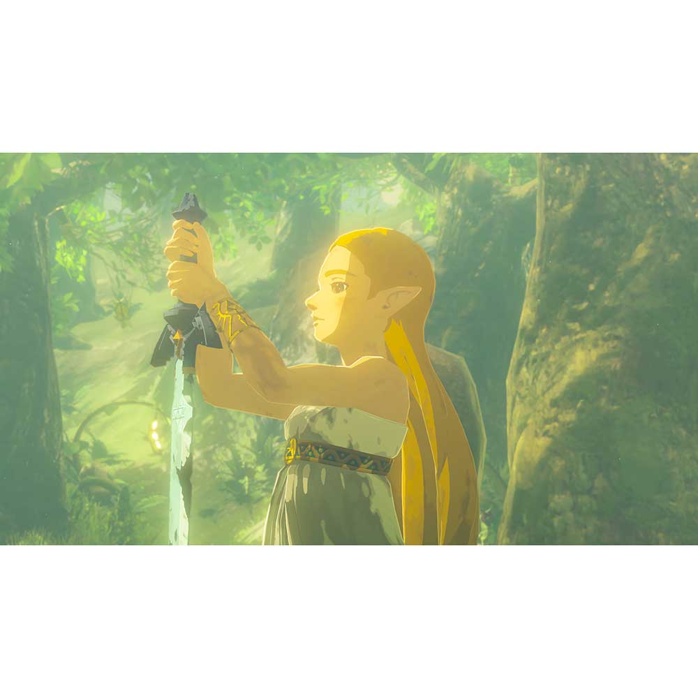 Игра Legend of Zelda: Breath of the Wild для NINTENDO Switch 2 Локализация английская версия