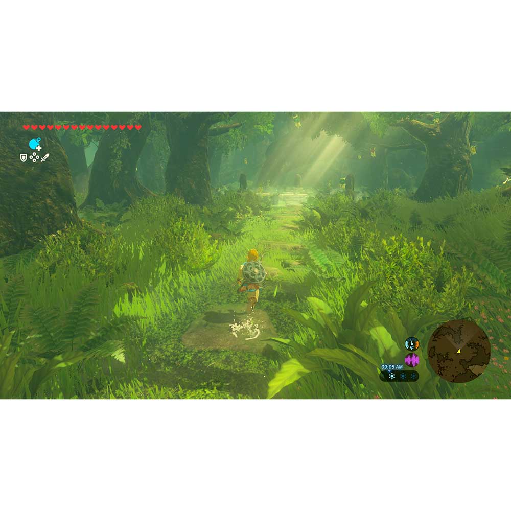 Заказать Игра Legend of Zelda: Breath of the Wild для NINTENDO Switch 2