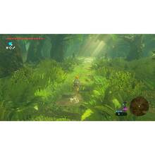 Игра Legend of Zelda: Breath of the Wild для NINTENDO Switch 2