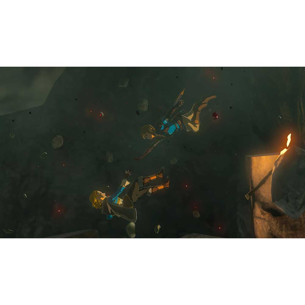 Фото 21 Игра Legend of Zelda: Tears of the Kingdom для NINTENDO Switch 2