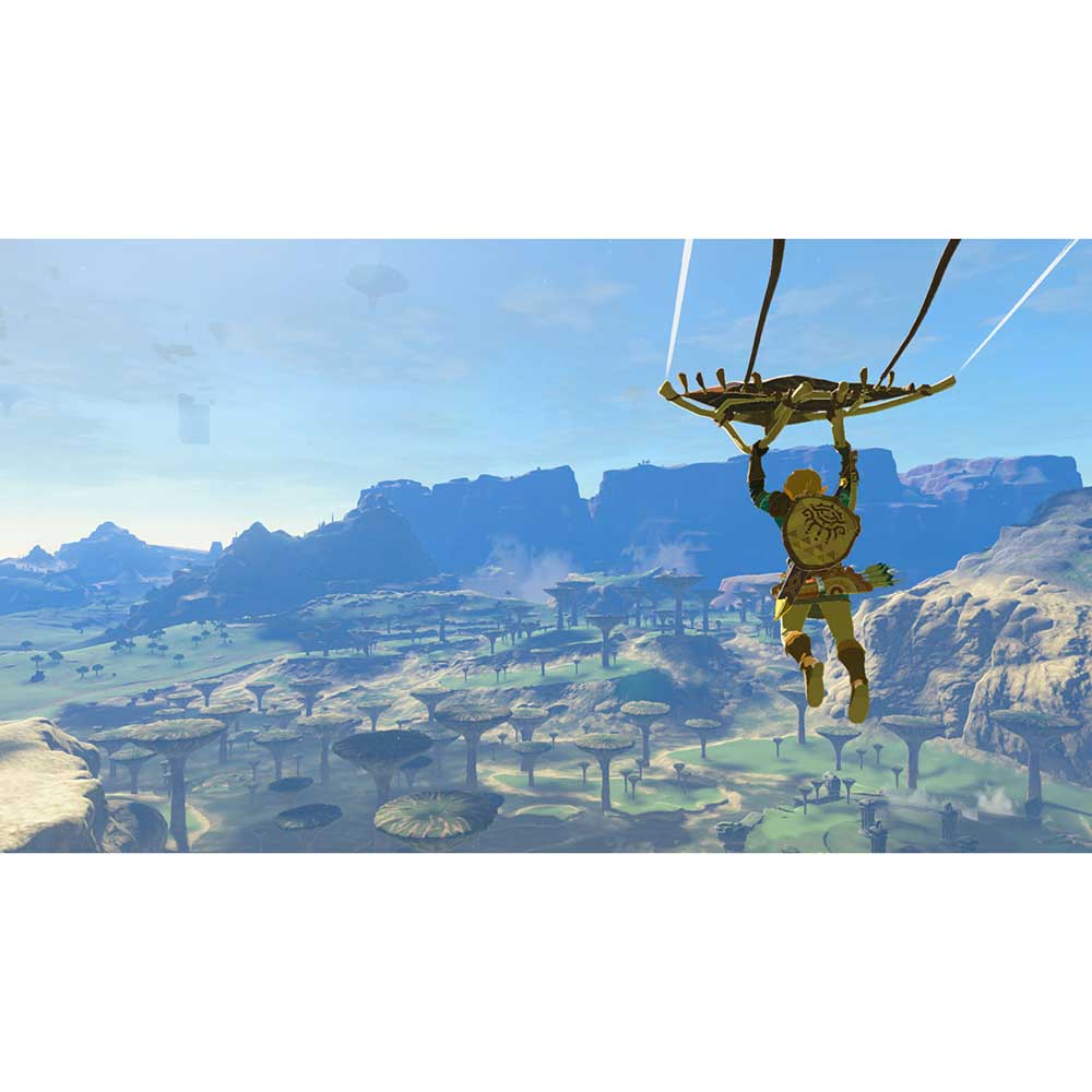 Фото 20 Игра Legend of Zelda: Tears of the Kingdom для NINTENDO Switch 2