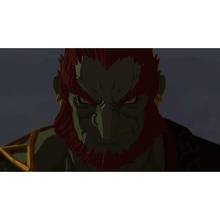 Ігра Hyrule Warriors Age of Imprisonment для NINTENDO Switch 2 (45496313500)