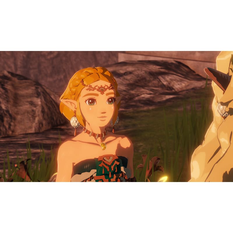 Фото 23 Ігра Hyrule Warriors Age of Imprisonment для NINTENDO Switch 2 (45496313500)