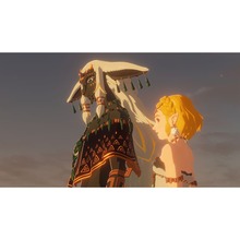 Ігра Hyrule Warriors Age of Imprisonment для NINTENDO Switch 2 (45496313500)