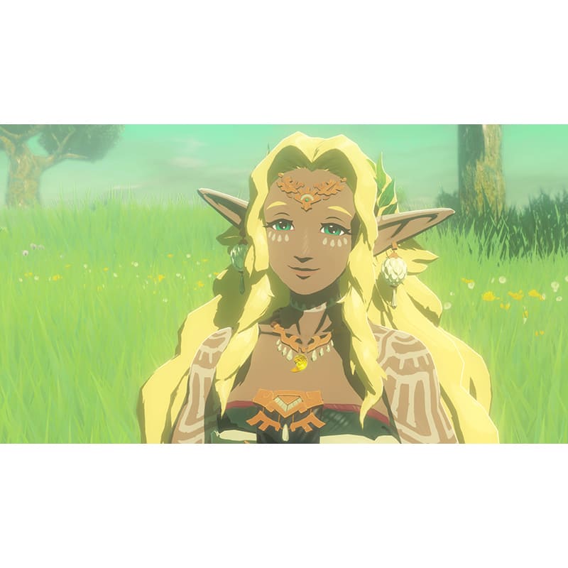 В інтернет магазині Ігра Hyrule Warriors Age of Imprisonment для NINTENDO Switch 2 (45496313500)