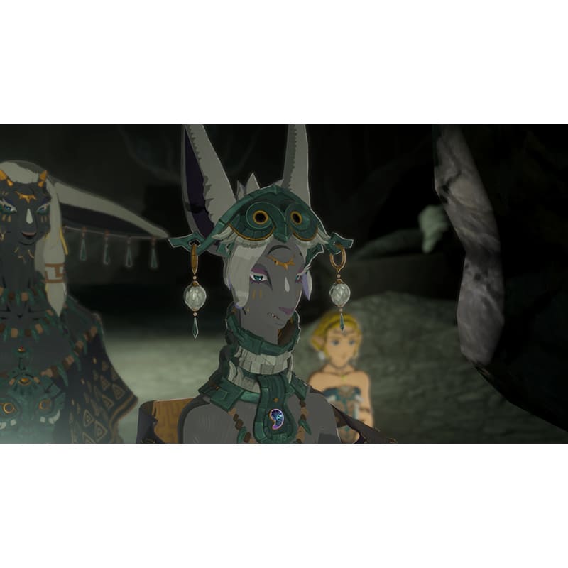 Фото 19 Ігра Hyrule Warriors Age of Imprisonment для NINTENDO Switch 2 (45496313500)