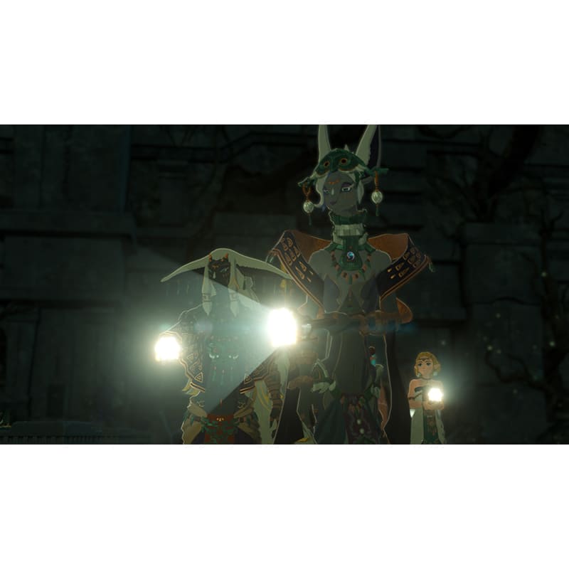 Фото 20 Ігра Hyrule Warriors Age of Imprisonment для NINTENDO Switch 2 (45496313500)