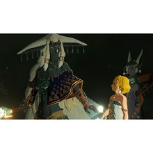 Ігра Hyrule Warriors Age of Imprisonment для NINTENDO Switch 2 (45496313500)