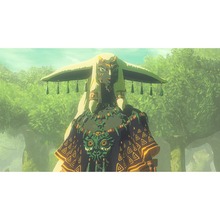 Ігра Hyrule Warriors Age of Imprisonment для NINTENDO Switch 2 (45496313500)