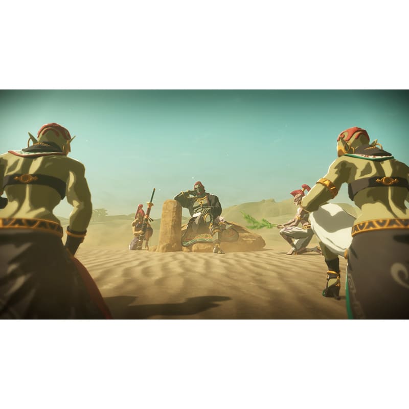 Фото 15 Ігра Hyrule Warriors Age of Imprisonment для NINTENDO Switch 2 (45496313500)