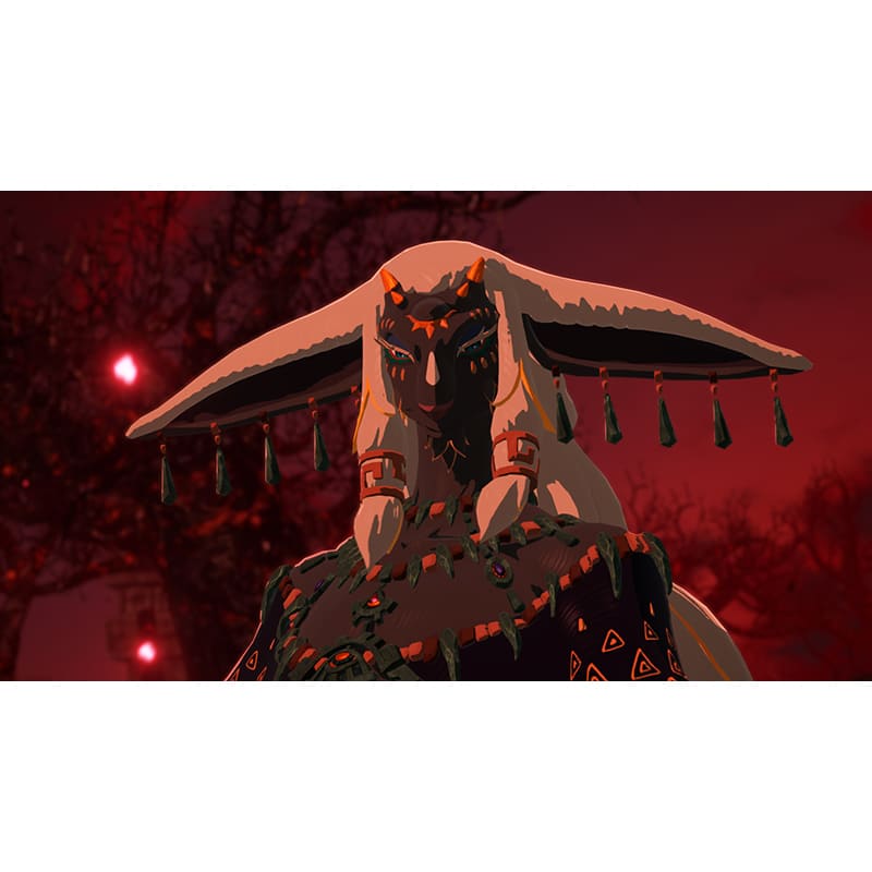 Фото 25 Ігра Hyrule Warriors Age of Imprisonment для NINTENDO Switch 2 (45496313500)