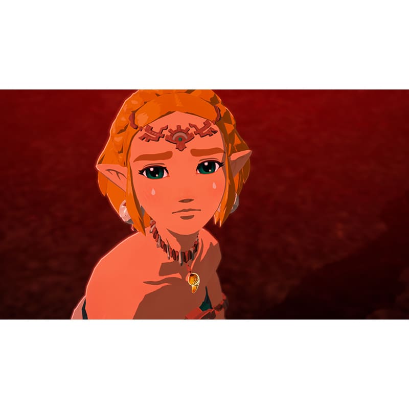 Фото 24 Ігра Hyrule Warriors Age of Imprisonment для NINTENDO Switch 2 (45496313500)