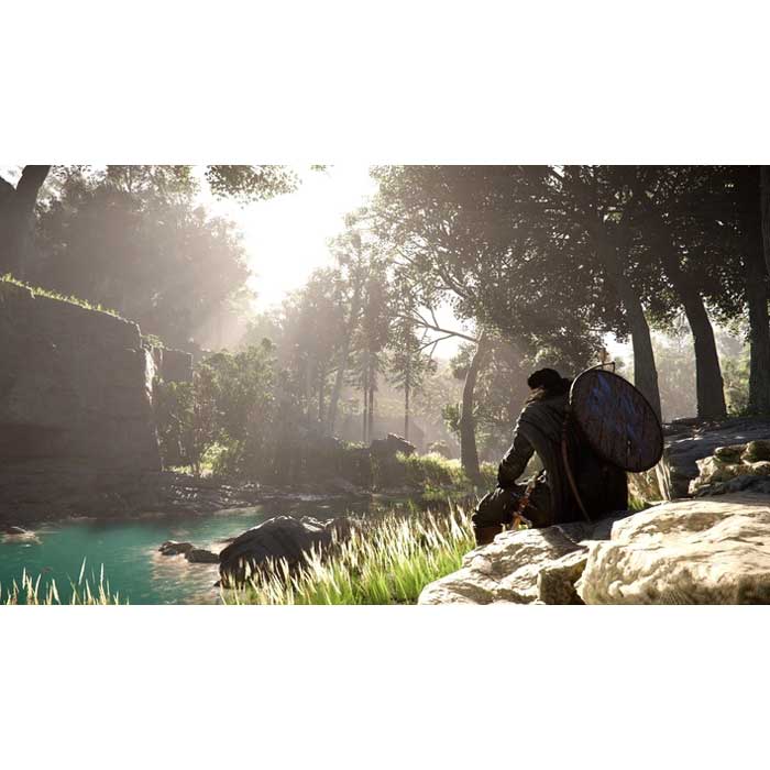 В Украине Игра Crimson Desert Day One Edition для Sony PLAYSTATION 5 (PS5)