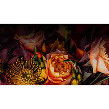 Проектор XGIMI Horizon 20 Pro (XR14A)