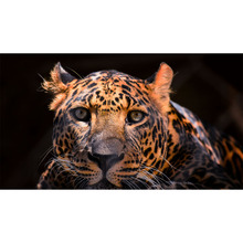 Проектор XGIMI Horizon 20 Pro (XR14A)