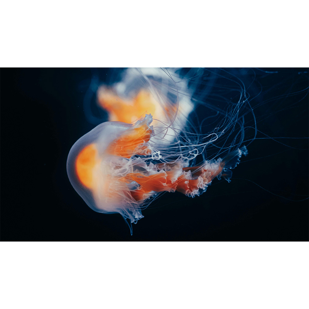 В Україні Проектор XGIMI Horizon 20 (XR13A)