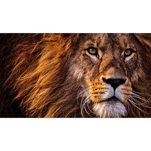 Проектор XGIMI Horizon 20 MAX (XR16A)