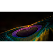 Проектор XGIMI Horizon 20 MAX (XR16A)