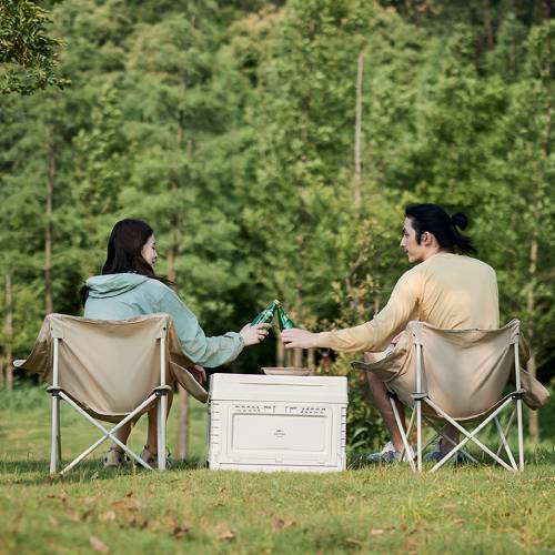 Покупка Стілець складаний NATUREHIKE Stellaluna T01 CNH23JU13002 Beige (6927595789063)