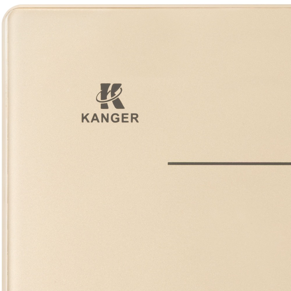 Внешний вид Варочная поверхность GUNTER & HAUER I 500 IVR